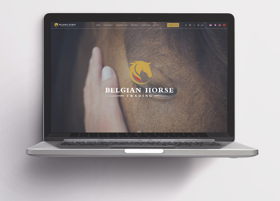 Belgian Horse Trading online veiling van paarden